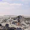 Spiral Jetty (7)