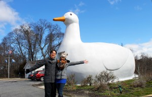 The Big Duck of Flanders, Suffolk County