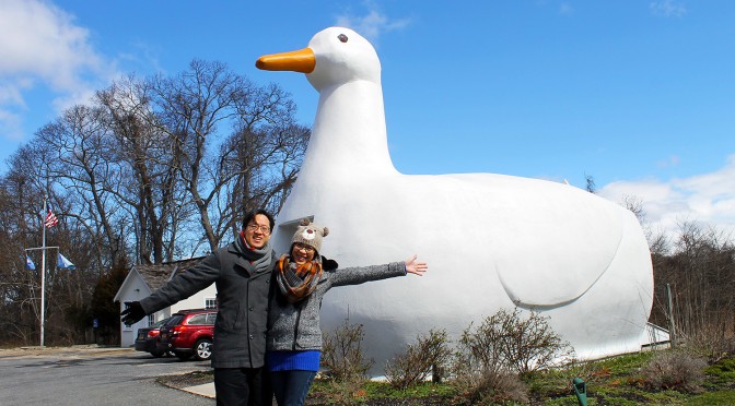 The Big Duck of Flanders, Suffolk County