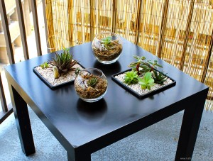 IKEA Hack: Sunken Succulent Lack Table Garden