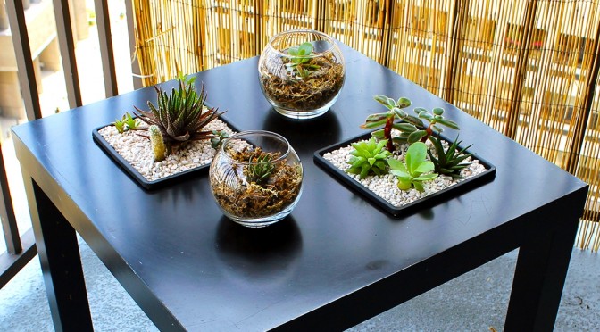 IKEA Hack: Sunken Succulent Lack Table Garden
